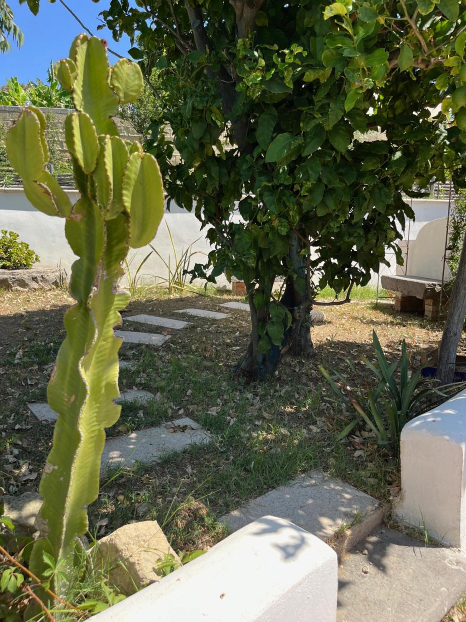 Villa Manni Procida Luaran gambar