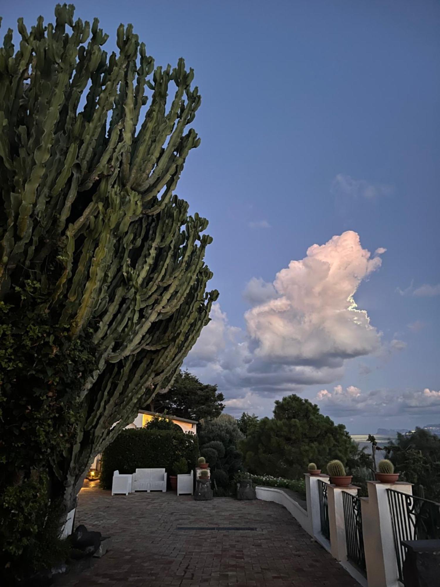 Villa Manni Procida Luaran gambar